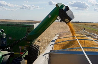 Corn Harvest