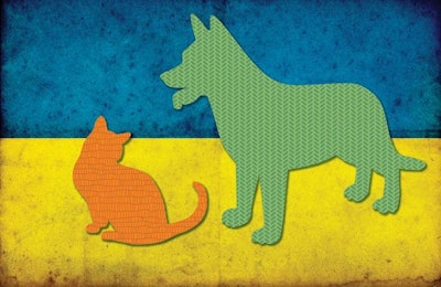 Ukraine's pet food market is currently seeing turmoil, and one company is giving consumers the opportunity to help.