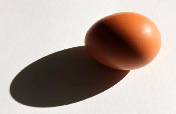 Photo by Andrea Gantz