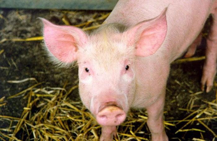 FOTER | Nick Saltmarsh