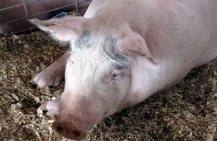 photo by Andrea Gantz