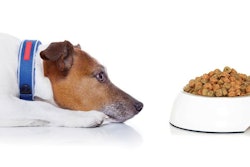 Overall feed performance can be improved by the use of high-quality trace mineral sources such as organic chelates or hydroxy trace elements. | Damedeeso, Dreamstime.com