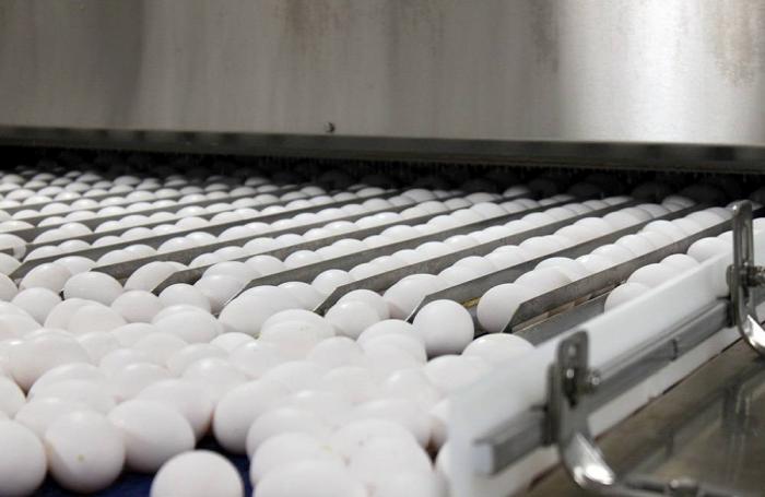 Photo by Andrea Gantz