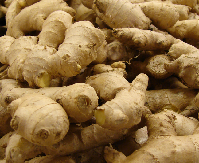 La ra&iacute;z del jengibre. | Wikimedia Commons