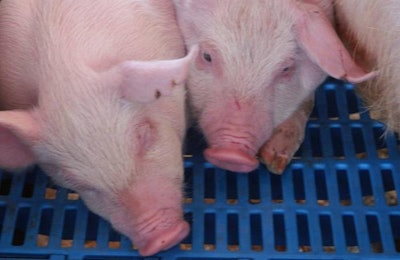 (Oscar Nilson, Freeimages.com)