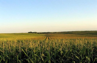 freeimages.com | Ian Dun