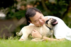 Freeimages.com | Jin Neoh