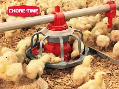 Chore Time Revolution Floor Flood Feeder