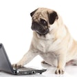 (E.W.; Bigstock.com)