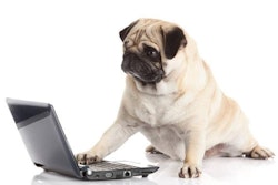 (E.W.; Bigstock.com)