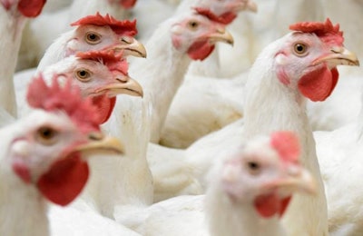 (Yurii Bukhanovskyi | Bigstock)