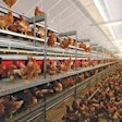 Jansen Comfort 2 Aviary System