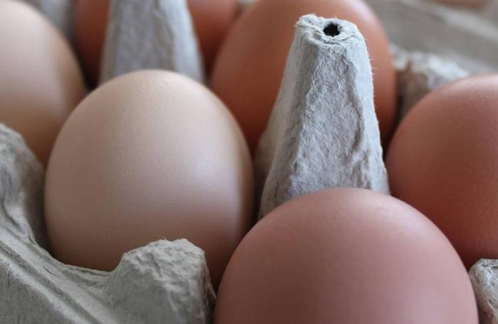 Photo by Andrea Gantz