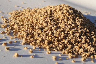 Photo by Andrea Gantz