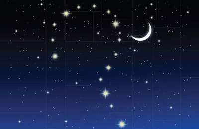 Sunlight coming into your poultry house, as opposed to your in-house lighting program, may be determining night and day for your broilers.