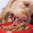 Novel proteins are an increasing presence in the specialty pet food market. | Photographee.fotolia.com