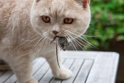 FreeImages.com l Fred Fokkelman