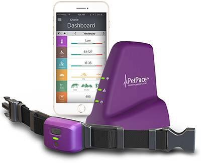 PetPace-smart-collar