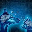 Lipolic acid may prove to be beneficial in supporting cognitive function in dogs and cats | digitalista, Bigstock.com