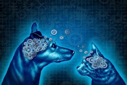 Lipolic acid may prove to be beneficial in supporting cognitive function in dogs and cats | digitalista, Bigstock.com