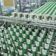 The need for sustainable options in the pet food industry has extended to packaging, where innovators are doing their best to meet increasingly complex consumer needs. | Packaging Technologies & Inspection (PTI)