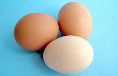 Freeimages.com | Alessandro Paiva