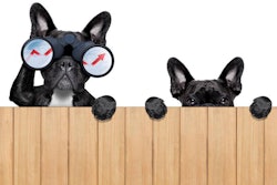 Halfway through 2016, we take a look at the industry’s predictions for pet food industry trends. | Damedeeso | Dreamstime.com