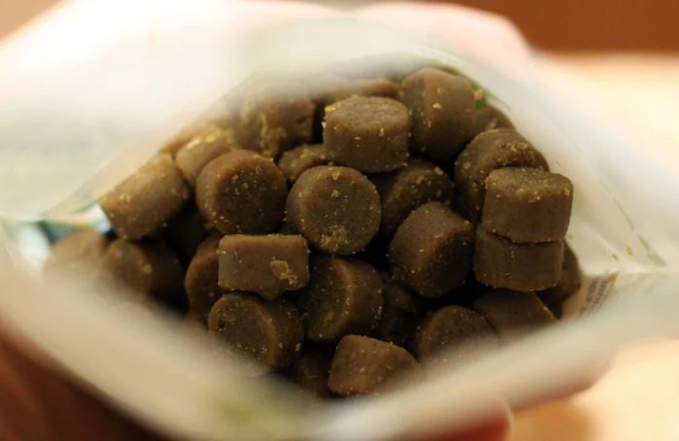 Alphia AFIA awards now include pet food plants | PetfoodIndustry