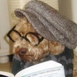 Millennial hipster dog | Wikimedia Commons | Volkan Berber