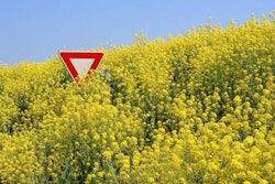 FreeImages.com l Laurent Renault