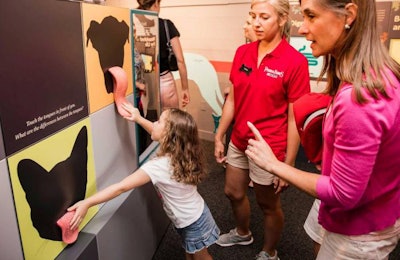 Emma Hiatt, 4, examines life-like dog and cat tongues, which give clues about pets’ food preferences, during the July 14, 2016, grand opening of Better with Pets. | courtesy Purina