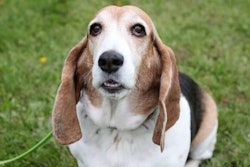 photo by Andrea Gantz