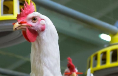 Yurii Bukhanovskyi, Bigstock