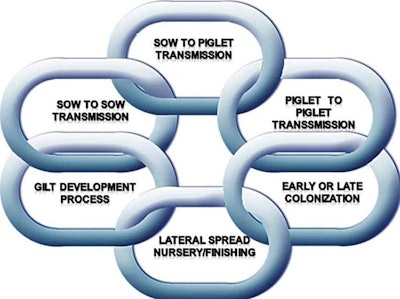 The infection/prevention chain concept brings together new and existing knowledge in swine diseases management. | Fano