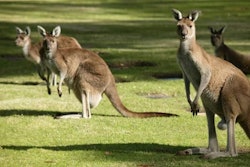 (Kitch Bain | BigStockPhoto.com)