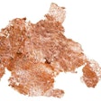 Copper is an essential mineral in the diet. | pixelman, Bigstock.com