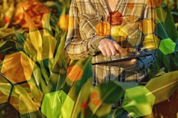 (igor stevanovic | Bigstock.com)