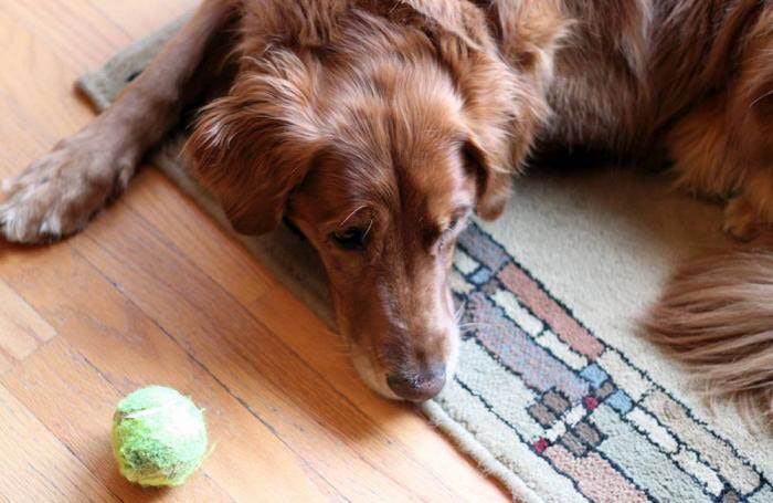 Clearance taurine dcm New Arrivals - Main Image