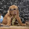 photo by alkir, BigStockPhoto.com