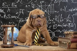 photo by alkir, BigStockPhoto.com
