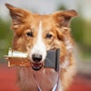 Photo by Ksuksa | BigStockPhoto.com