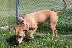 photo by Andrea Gantz