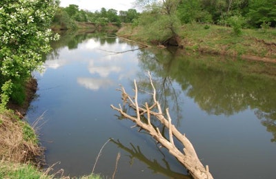 Olesya Chirkov, Bigstock