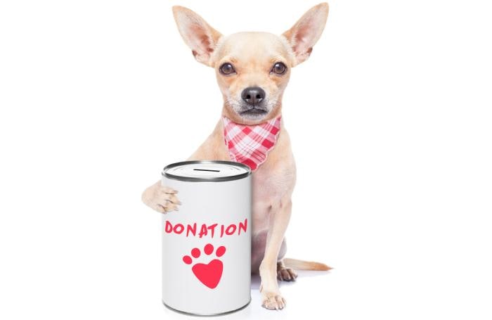 7 Pet Food Companies That Give Back To
