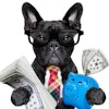(Javier Brosch | Bigstock.com)