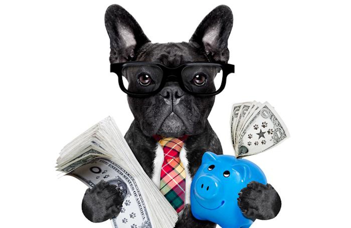 What kind of dog is ernie in the blue buffalo commercial cheap