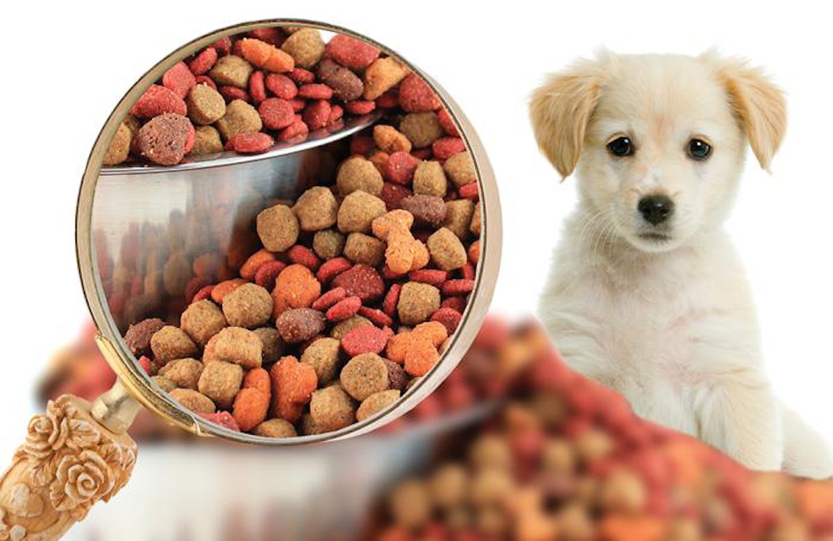 Pet food suppliers online store