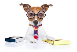 photo by Javier Brosch | BigStockPhoto