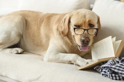 (YakobchukOlena | Bigstock.com)