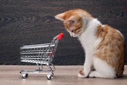 photo by kozorog | BigStockPhoto